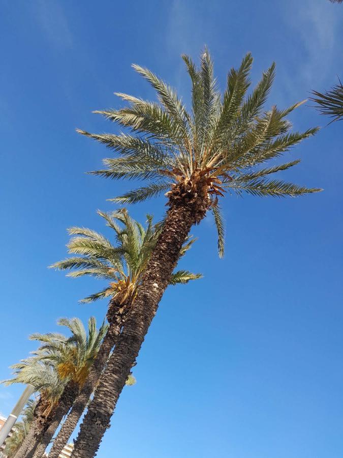 Apartament Stylowy Apartament Harmonia Playa Del Cura, Hiszpania Torrevieja Zewnętrze zdjęcie