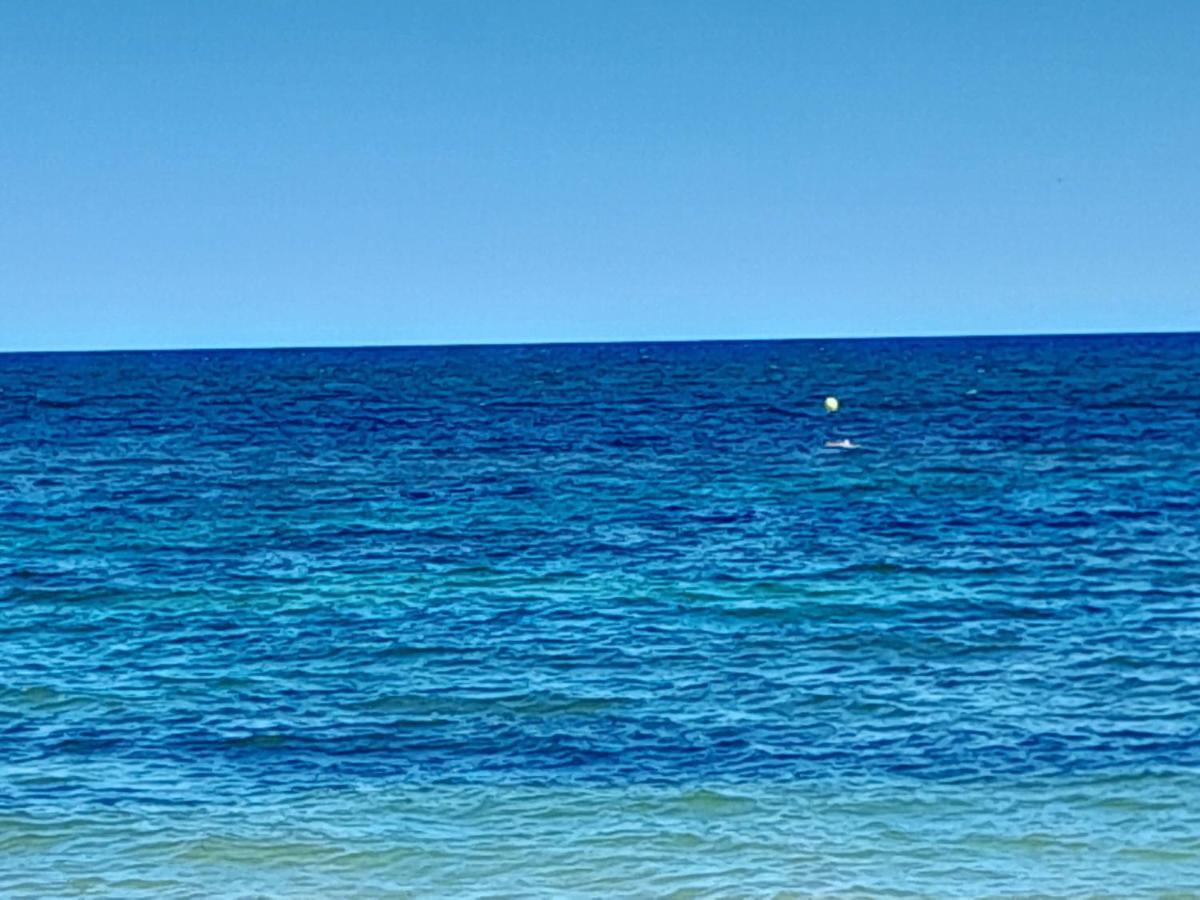 Apartament Stylowy Apartament Harmonia Playa Del Cura, Hiszpania Torrevieja Zewnętrze zdjęcie