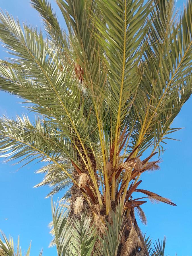 Apartament Stylowy Apartament Harmonia Playa Del Cura, Hiszpania Torrevieja Zewnętrze zdjęcie