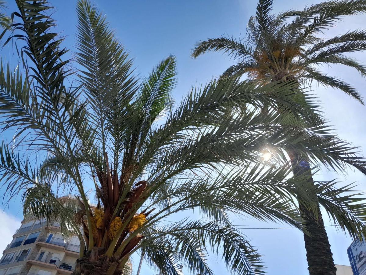 Apartament Stylowy Apartament Harmonia Playa Del Cura, Hiszpania Torrevieja Zewnętrze zdjęcie