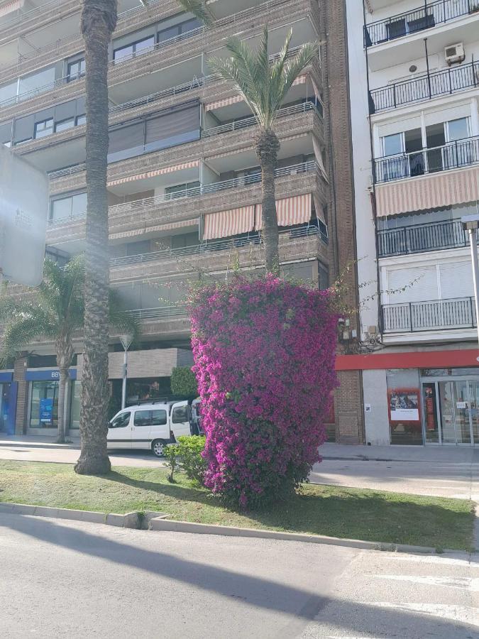 Apartament Stylowy Apartament Harmonia Playa Del Cura, Hiszpania Torrevieja Zewnętrze zdjęcie